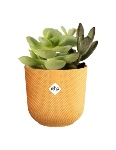 MACETA JAZZ REDONDA MINI 7CM AMARILLO AMBAR