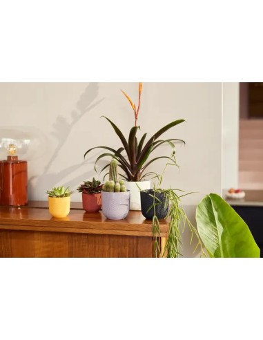 MACETA JAZZ REDONDA MINI 7CM AMARILLO AMBAR