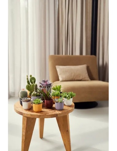 MACETA JAZZ REDONDA MINI 7CM BLANCO SEDA