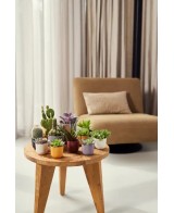 MACETA JAZZ REDONDA MINI 7CM BLANCO SEDA