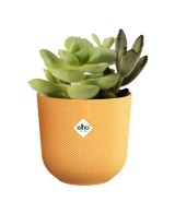 MACETA JAZZ REDONDA MINI 9CM AMARILLO AMBAR