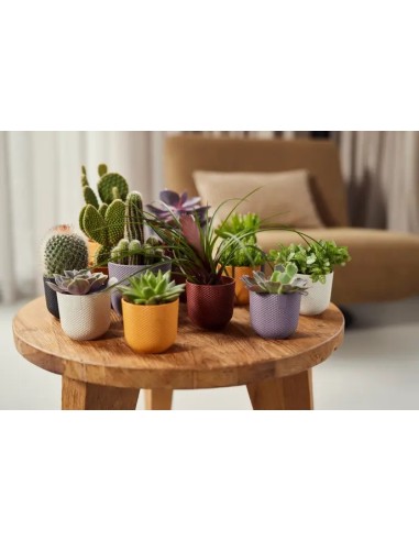 MACETA JAZZ REDONDA MINI 9CM BLANCO