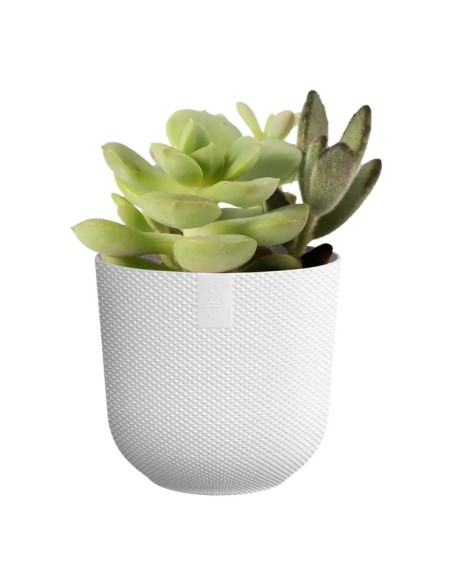 MACETA JAZZ REDONDA MINI 11CM BLANCA