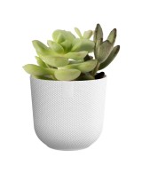 MACETA JAZZ REDONDA MINI 11CM BLANCA