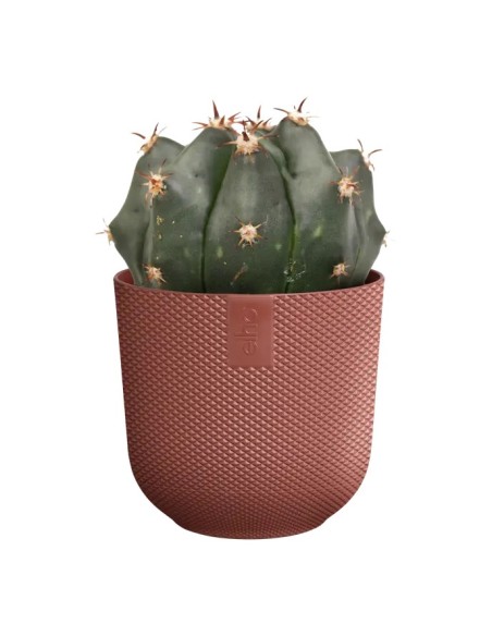MACETA JAZZ REDONDA MINI 11CM ROJO TOSCANA