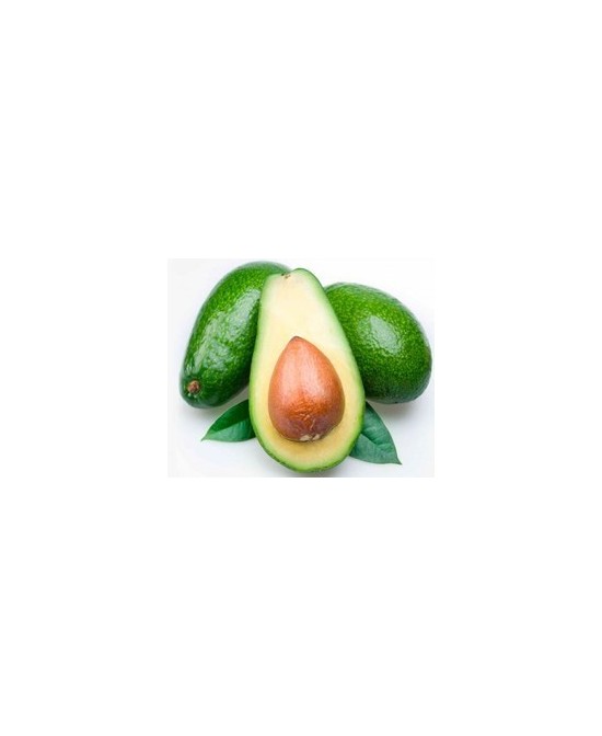 AGUACATE FUERTE
