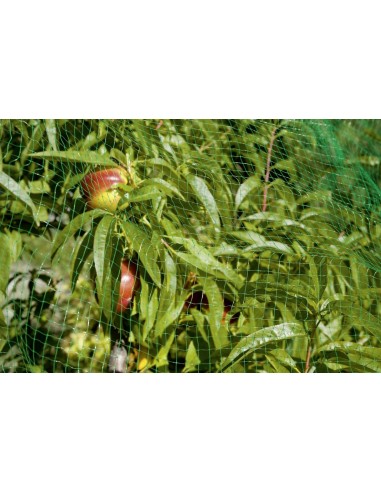 Malla Antipájaros 2x5m Resistente UV para Jardín y Cultivos | Endanea Garden

