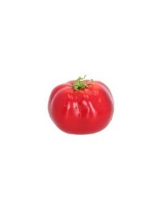 TOMATE