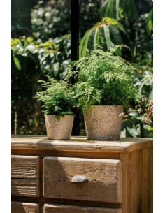 ESSEN 14X12CM CREMA 2