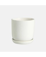 CUNEO+PLATO 17X16CM BLANCO