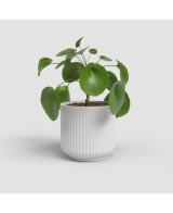 MACETA LUNA 21CM MA BLANCO