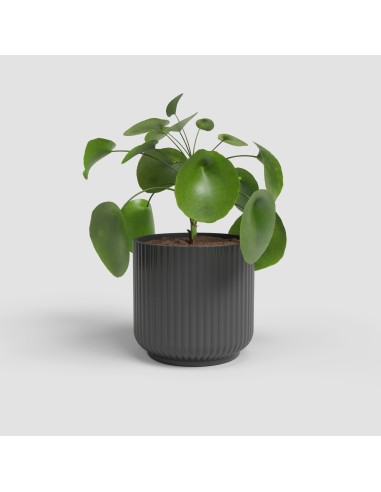MACETA LUNA 21CM MA ANTRACITA