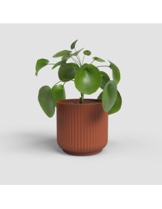 MACETA LUNA 19CM MA TERRACOTA 2