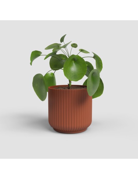 MACETA LUNA 19CM MA TERRACOTA