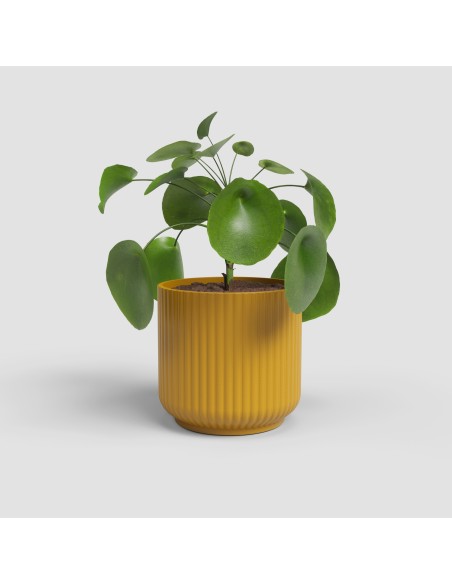 MACETA LUNA 19CM MA AMARILLO