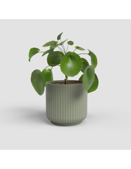 MACETA LUNA 14CM MA TOPO
