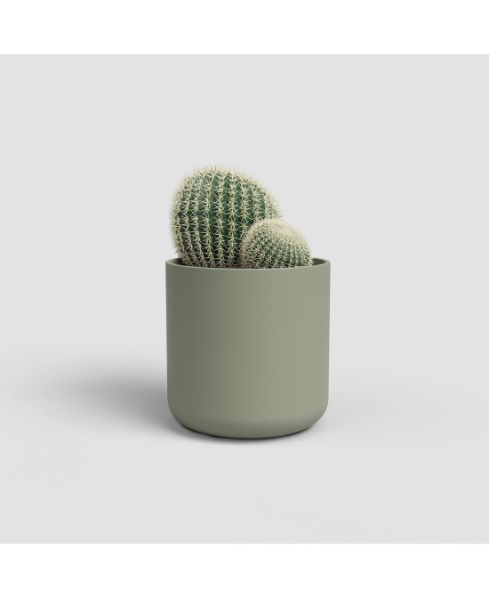 MACETA JUNO CACTUS 7CM MA VERDE