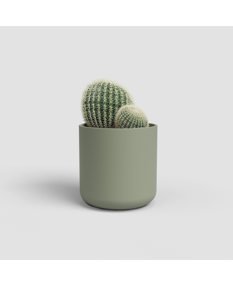 MACETA JUNO CACTUS 7CM MA VERDE