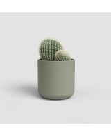 MACETA JUNO CACTUS 7CM MA VERDE