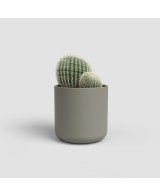 MACETA JUNO CACTUS 7CM MA TOPO