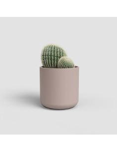 MACETA JUNO CACTUS 7CM MA ROSA CLARO 2