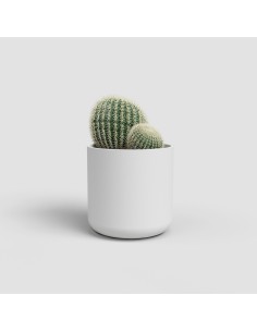 MACETA JUNO CACTUS 7CM MA BLANCO 2
