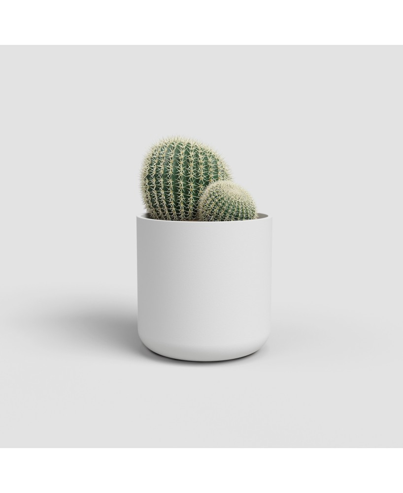 MACETA JUNO CACTUS 7CM MA BLANCO