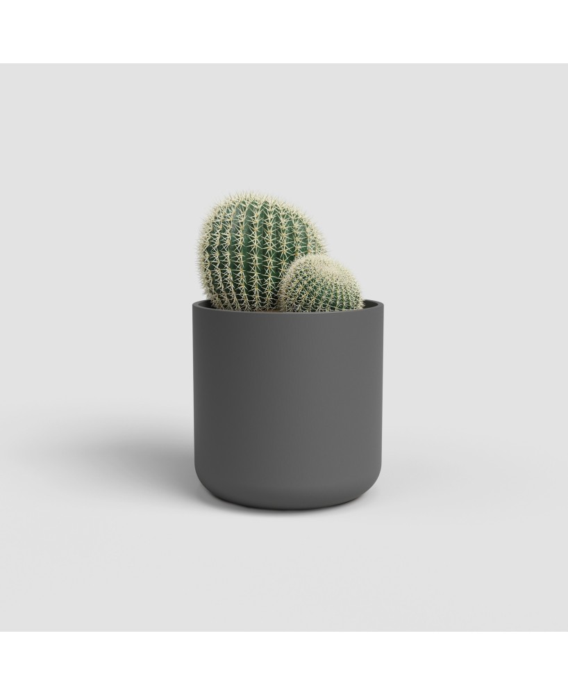 MACETA JUNO CACTUS 7CM MA ANTRACITA