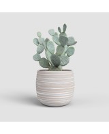 MACETA DORIS 29CM MA CREMA