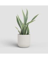 MACETA ATLAS 29CM MA CREMA
