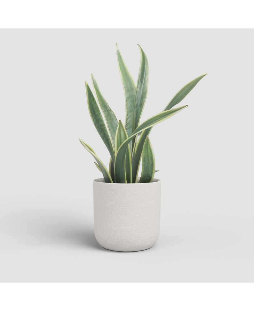 MACETA ATLAS 25CM MA CREMA