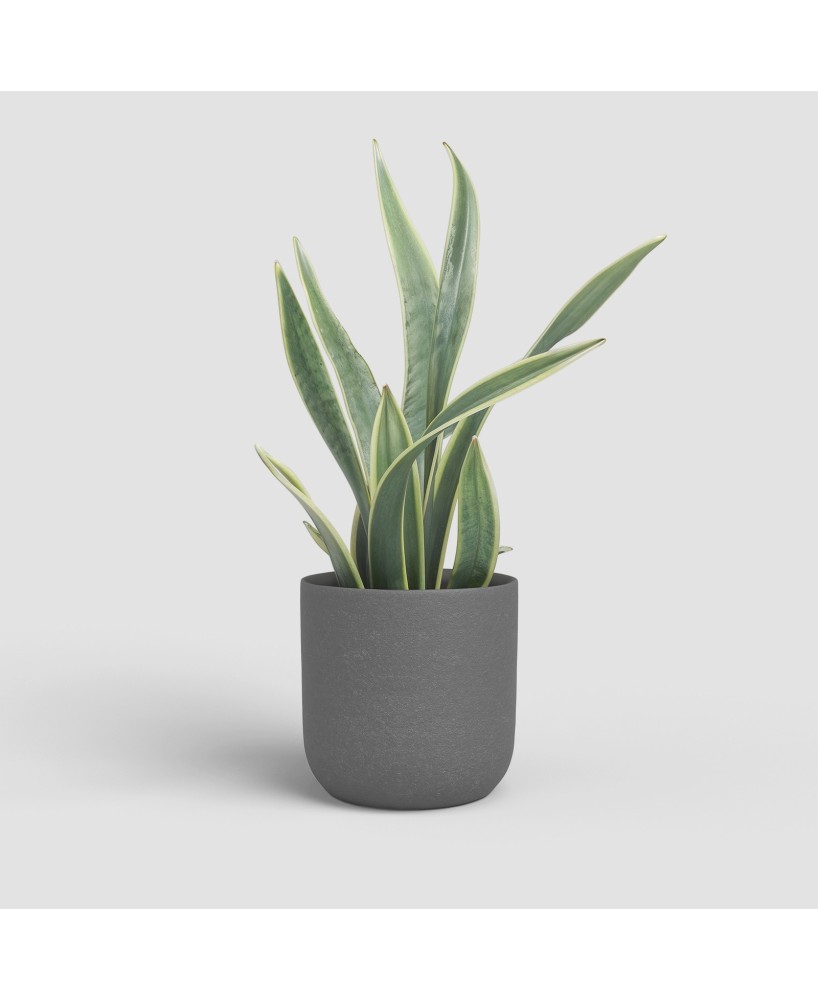MACETA ATLAS 20CM MA ANTRACITA