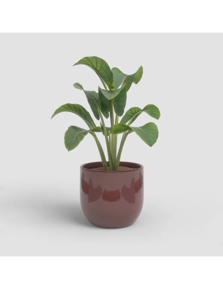 MACETA ARCADIA 20CM VD ROJO OSCURO