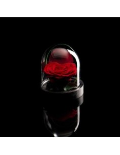 ROSA INCANTATA A CUORE PERFUMATA H10CM ROJA