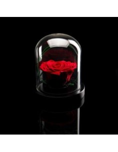 ROSA INCANTATA A CUORE FERFUMATA H14CM ROJA
