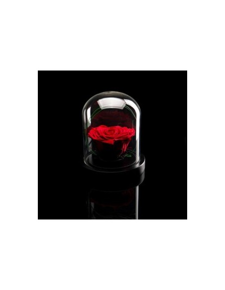 ROSA INCANTATA A CUORE FERFUMATA H14CM ROJA