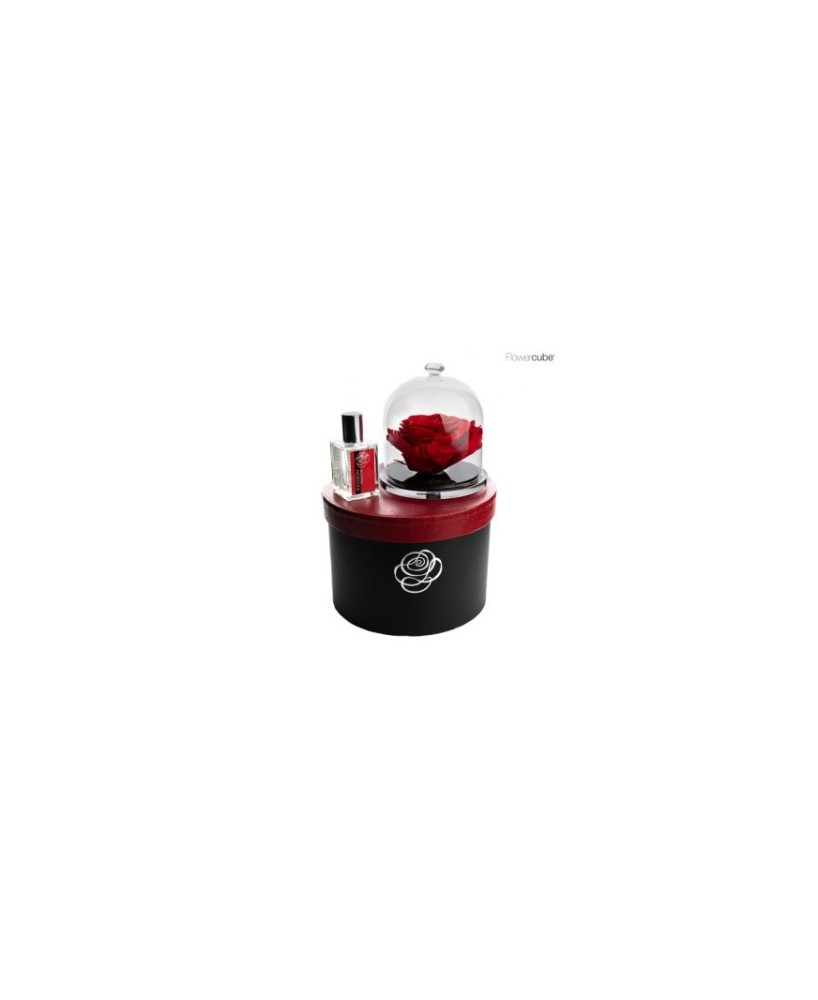 GIFT BLACK BOX DIAMOND ENCHANTED ROSE 14 CM