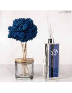 SET FRAGRANCE TREE H25CM AFFINITY DIFUSOR 50ML AZUL