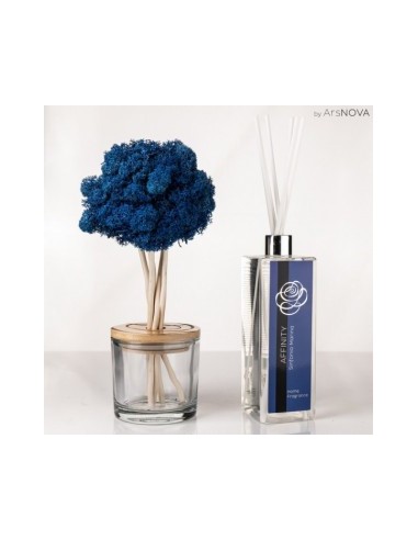 SET FRAGRANCE TREE H25CM AFFINITY DIFUSOR 50ML AZUL