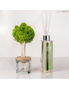 SET FRAGRANCE TREE H.25CM HARMONY DIFUSOR 500ML VERDE MAY