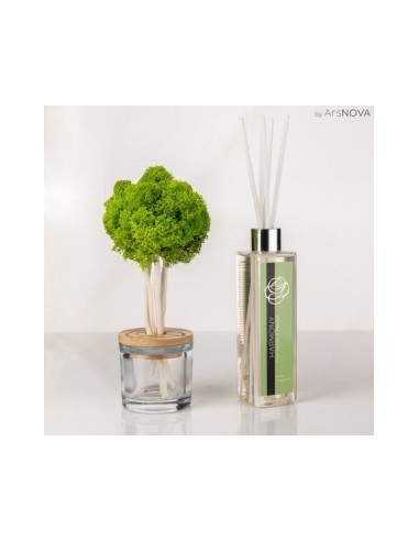 SET FRAGRANCE TREE H.25CM HARMONY DIFUSOR 500ML VERDE MAY