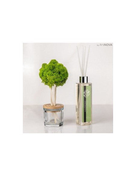 SET FRAGRANCE TREE H.25CM HARMONY DIFUSOR 500ML VERDE MAY