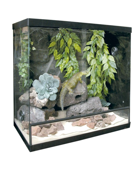 KIT TERARIO REPTIGLASS 45X45X45