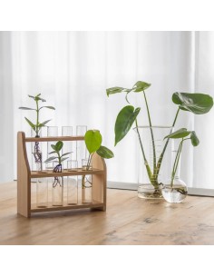 Soporte para Tubos de Ensayo L 24,3x8,5x24,10 cm Resistente y Compacto 2