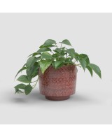 MACETA MINERVA 24CM VD ROJO