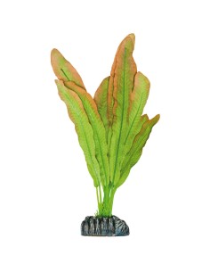 PLANTA SEDA MICROSORIUM