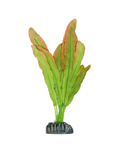 PLANTA SEDA MICROSORIUM