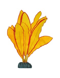 ECHINODORUS AMARILLO 48CM