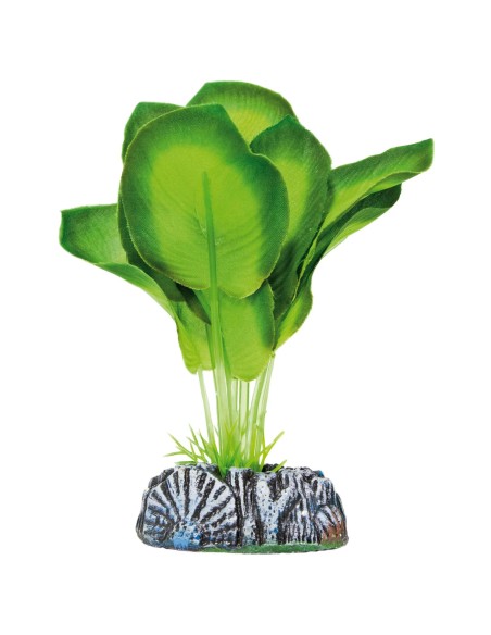 PLANTA SEDA AGLAONEMA 20CM