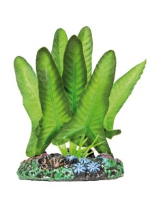 PLANTA SEDA SYNGONIUM 40CM